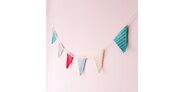 2014-12-10 Stone Washed Bunting (1)