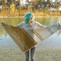 2017-05-12 Hotel of Bees Shawl 1