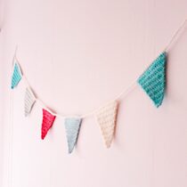 2014-12-10 Stone Washed Bunting