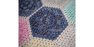 2018-06-19 Indigo Blossom Blanket 3