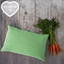 Carrot_Cushion_03