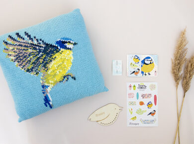 Blue Tit Cushion04